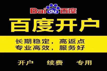 百度优化推广案例：案例分析及优化效果
